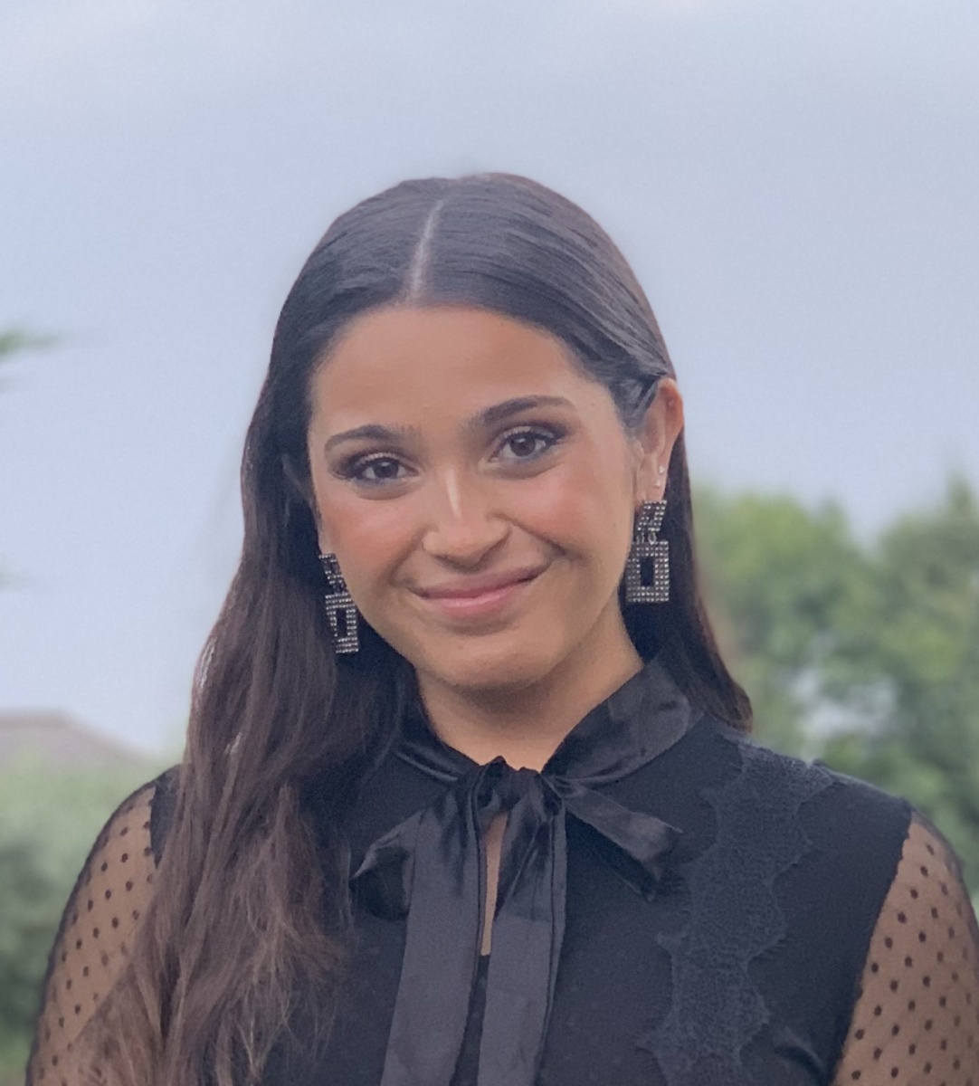 texto alternativo da imagem